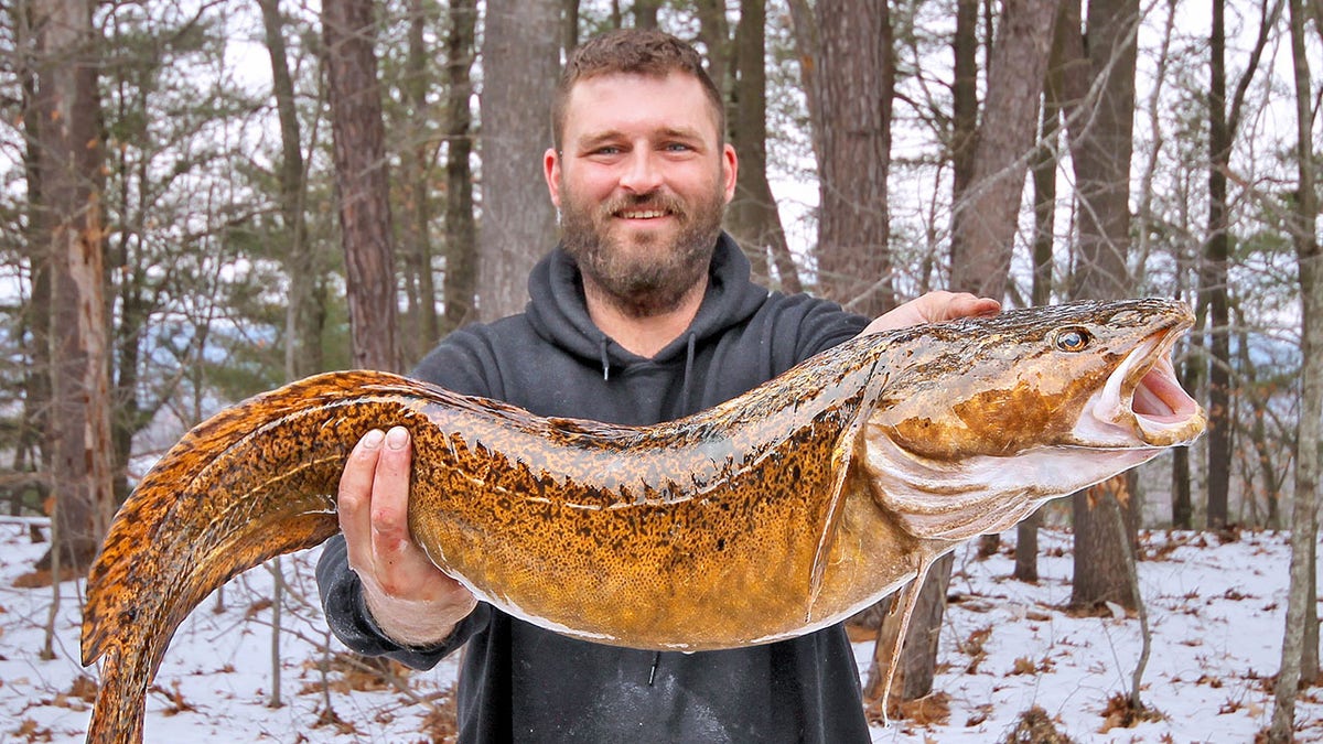 Record-breaking fish: Huge catches that made headlines in 2022