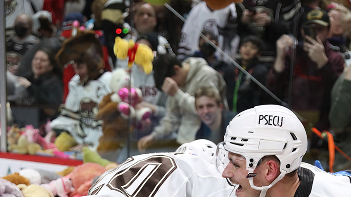 Teddy bear best sale toss 2018 hershey