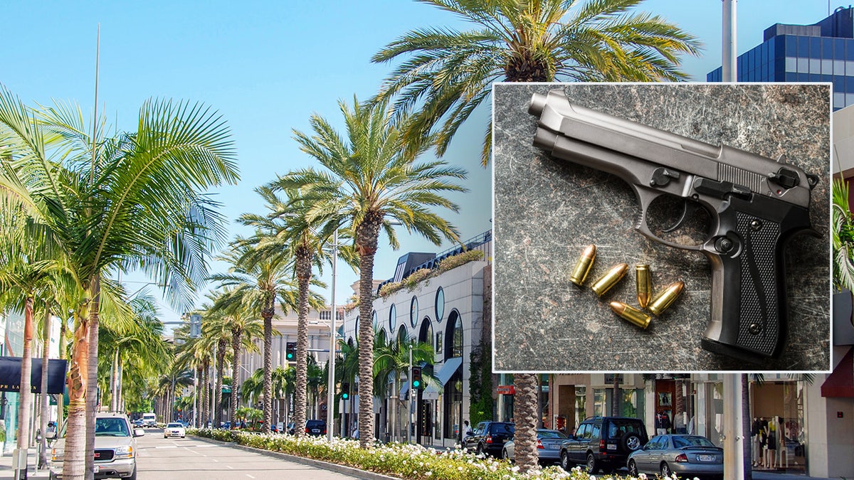 Palm trees and flower beds on Rodeo Drive in Beverly Hills in Hollywood