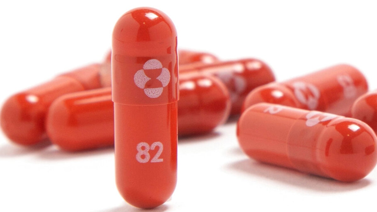 This undated file image provided by Merck & Co. shows their new antiviral medication molnupiravir.