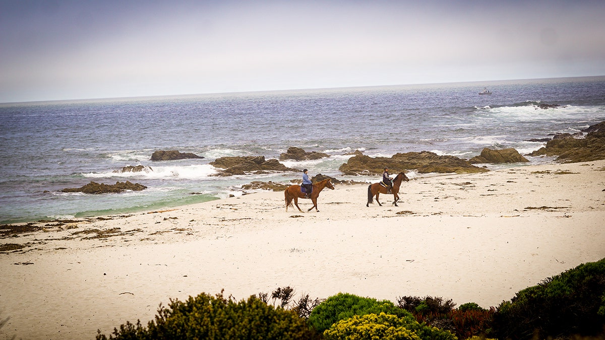 One of the finest towns along the breathtaking Pacific Coast Highway for sweethearts is the idyllic town of Carmel-by-the-Sea.