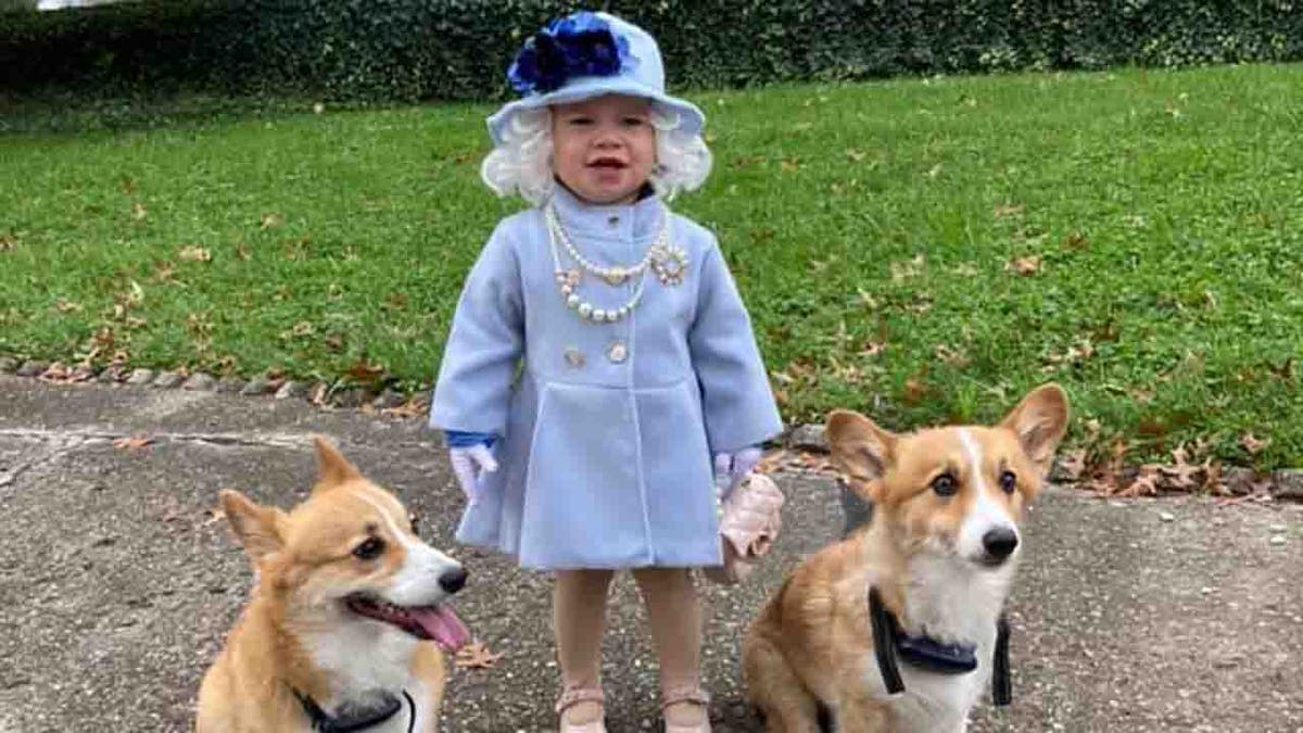 In October, Katelyn Sutherland posted pictures of her daughter Jalayne on Facebook showing off Jalayne’s adorable outfit: a blue coat and hat, a white wig, gloves, pearl necklaces, a purse and, of course, two corgis by her side.?