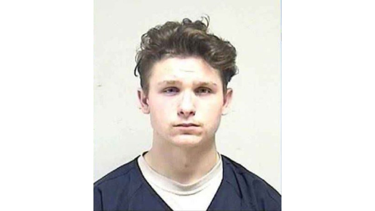 Dominick David Black, 19, faces criminal charges in connection with allegedly purchasing the rifle used by Kyle Rittenhouse during unrest in Kenosha, Wisconsin. 