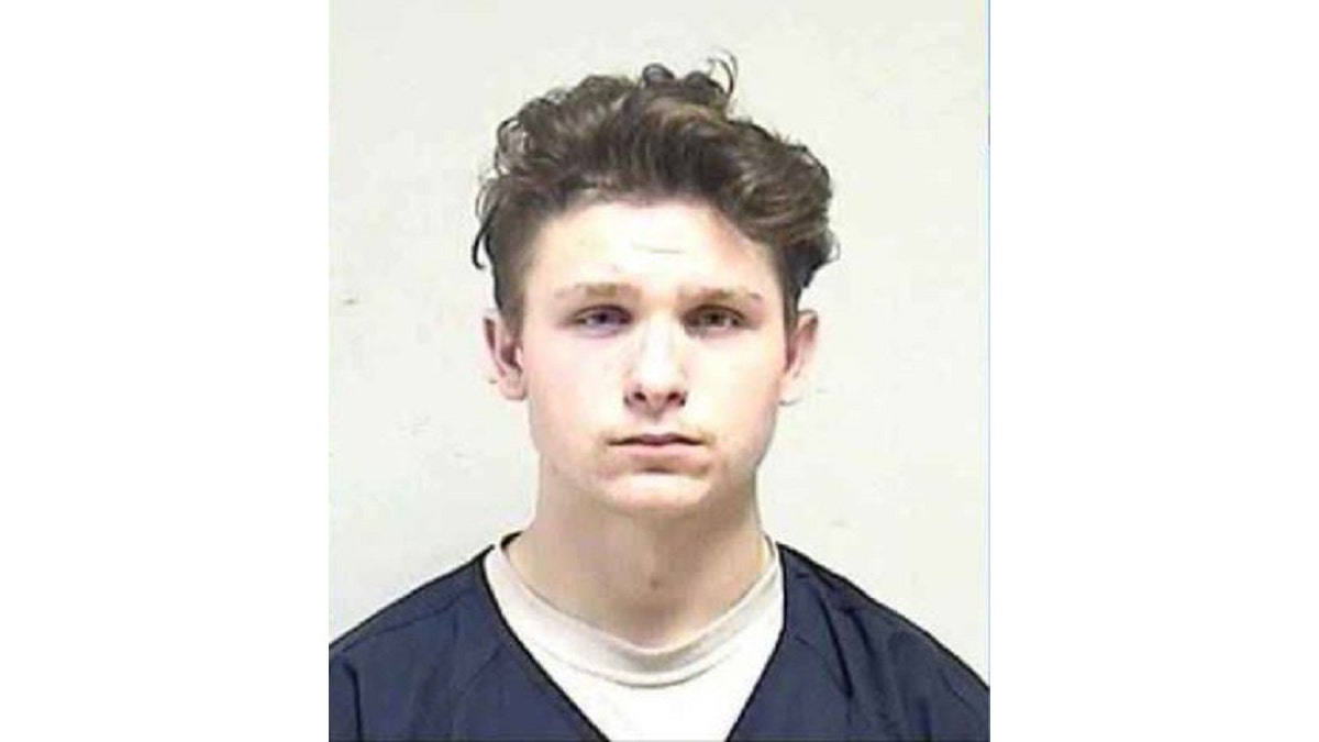 Dominick David Black, 19, faces criminal charges in connection with allegedly purchasing the rifle used by Kyle Rittenhouse during unrest in Kenosha, Wisconsin.
