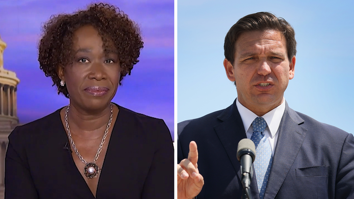 DeSantis and Joy Reid