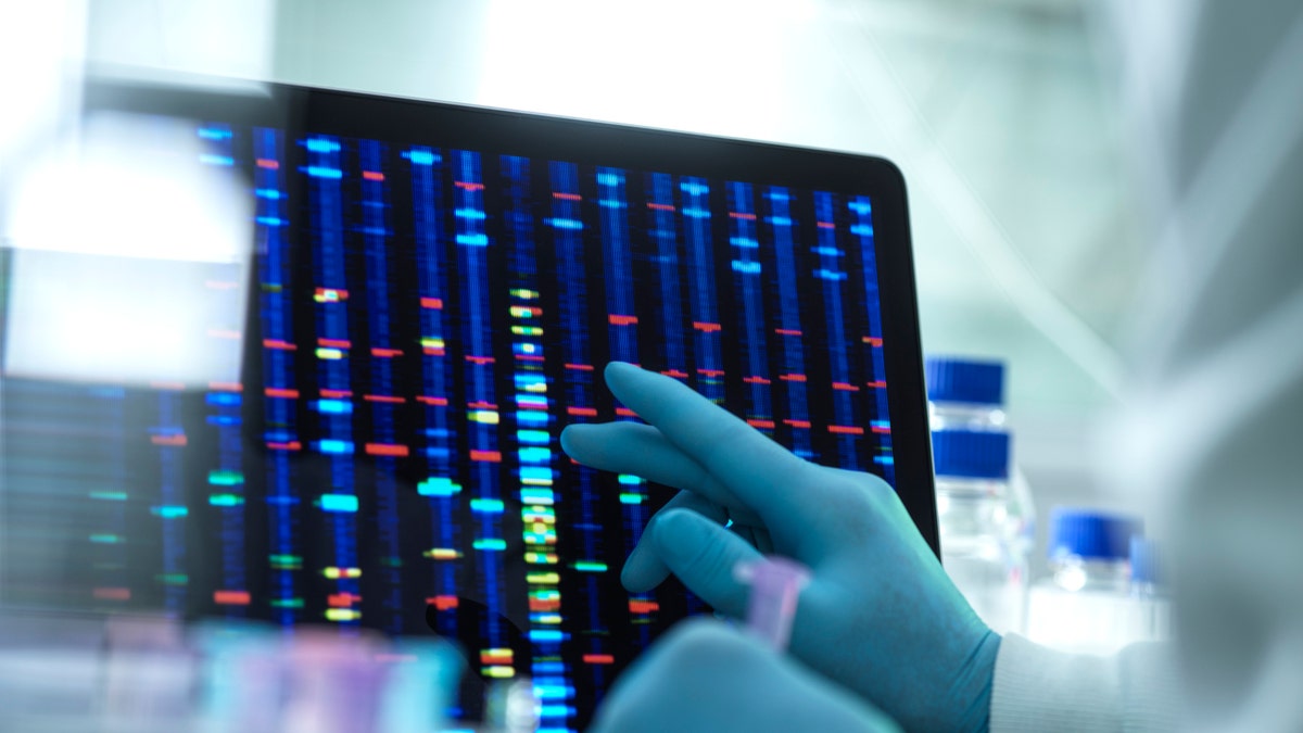 Scientist examining DNA (deoxyribonucleic acid) results on a screen during an experiment in the laboratory.