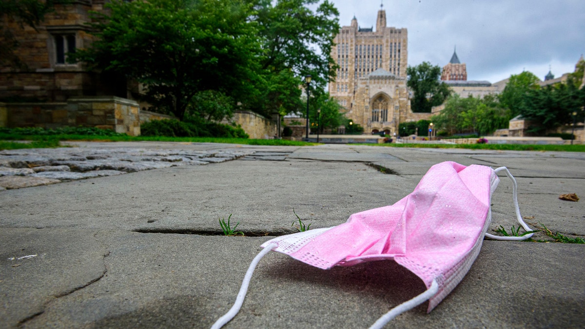 An abandoned mask rests on Yale's Cross Campus in New Haven, Connecticut. (Mark Mirko/Hartford Courant/Tribune News Service via Getty Images)