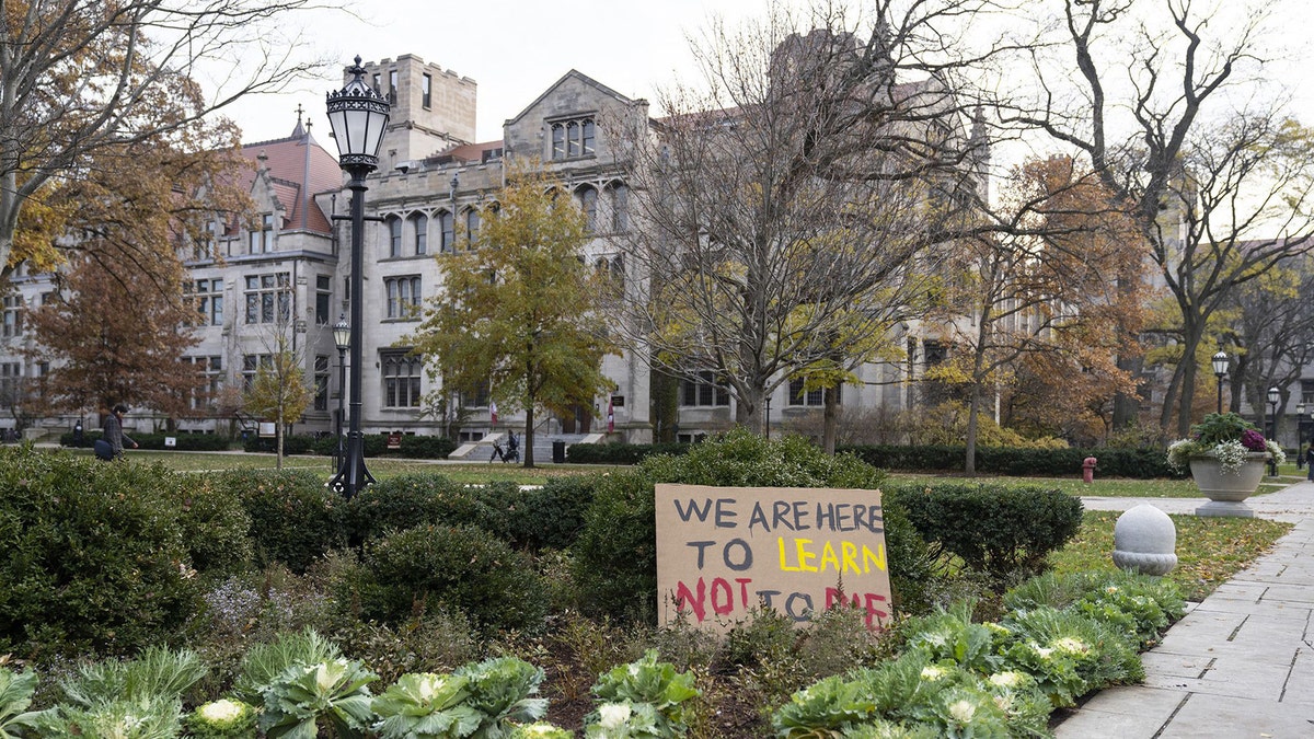 The University of Chicago campus