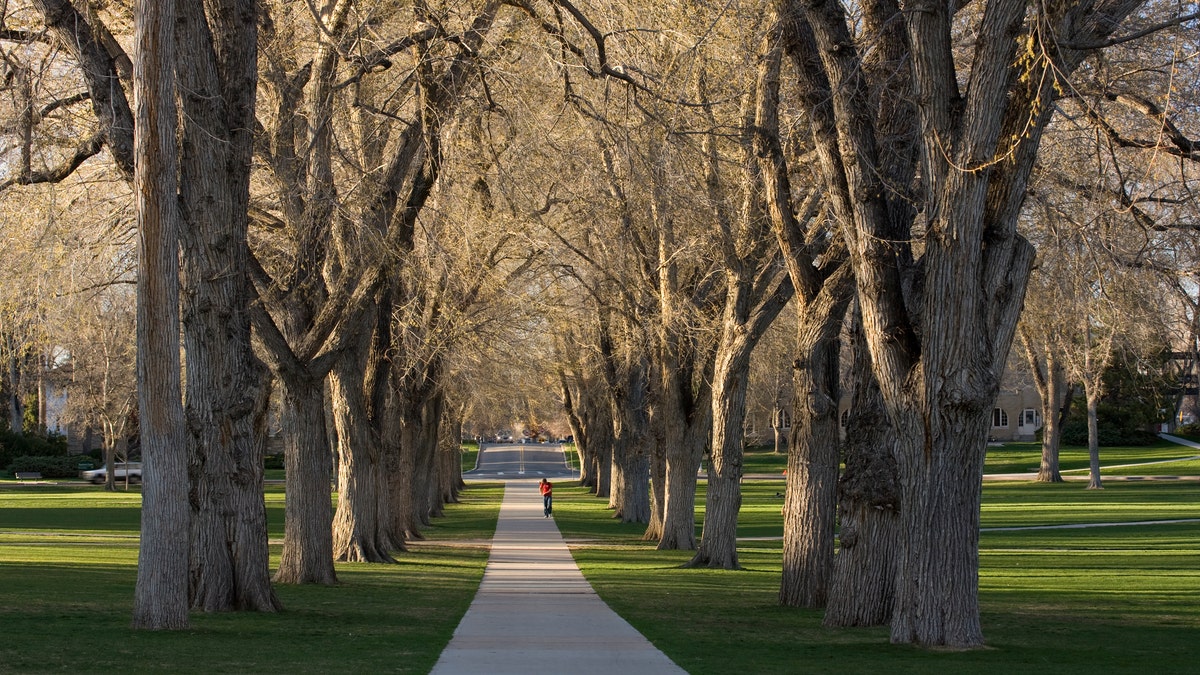 Colorado State University