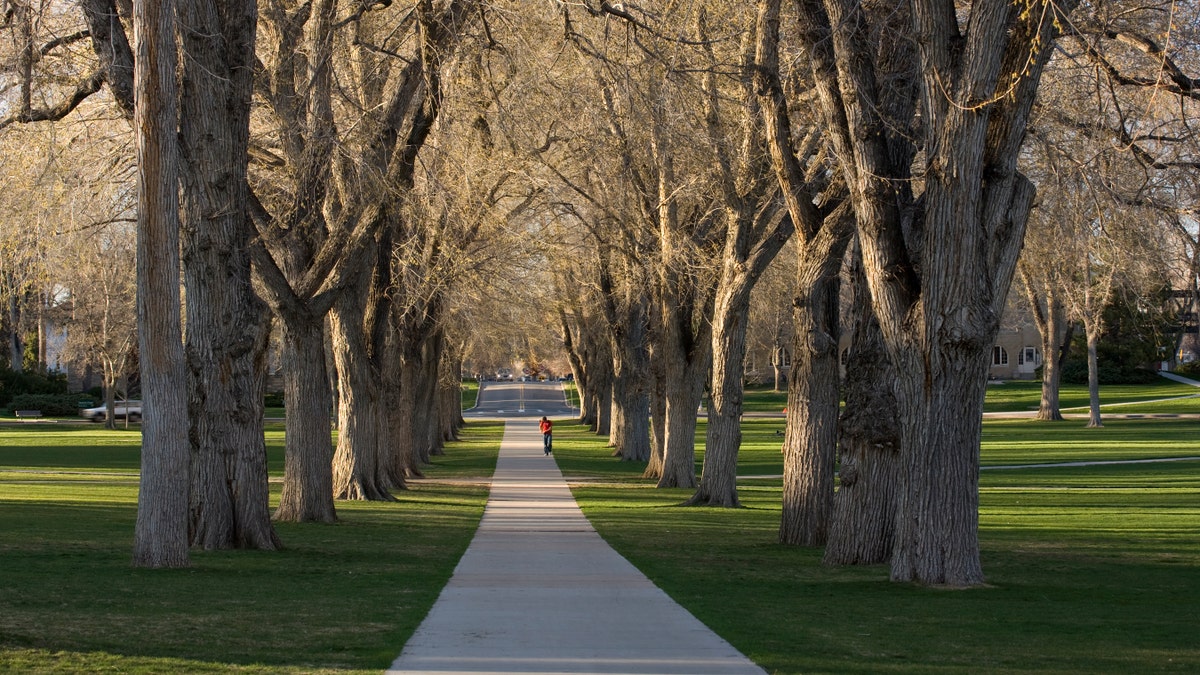 Colorado State University