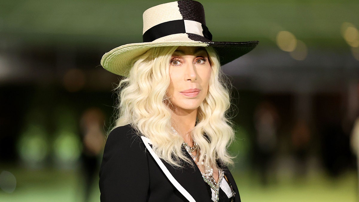 Cher Hair