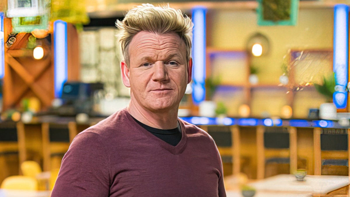 Gordon Ramsay on TV