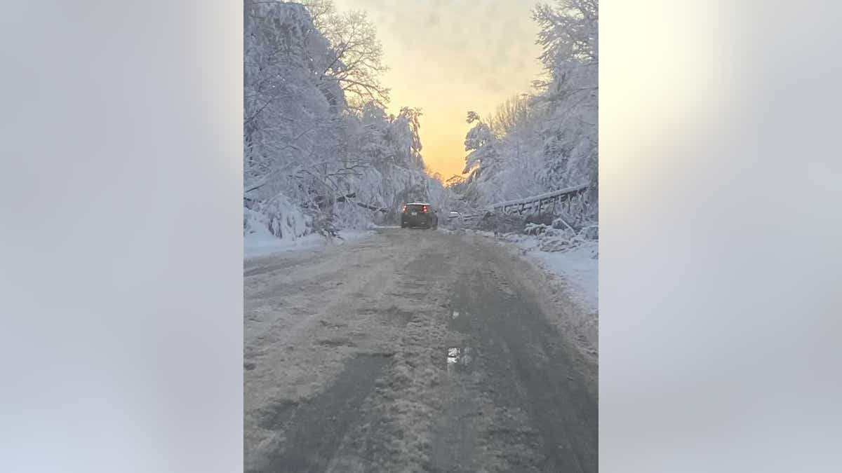 Even the backroads in Fredericksburg were backed up by snow and downed trees.