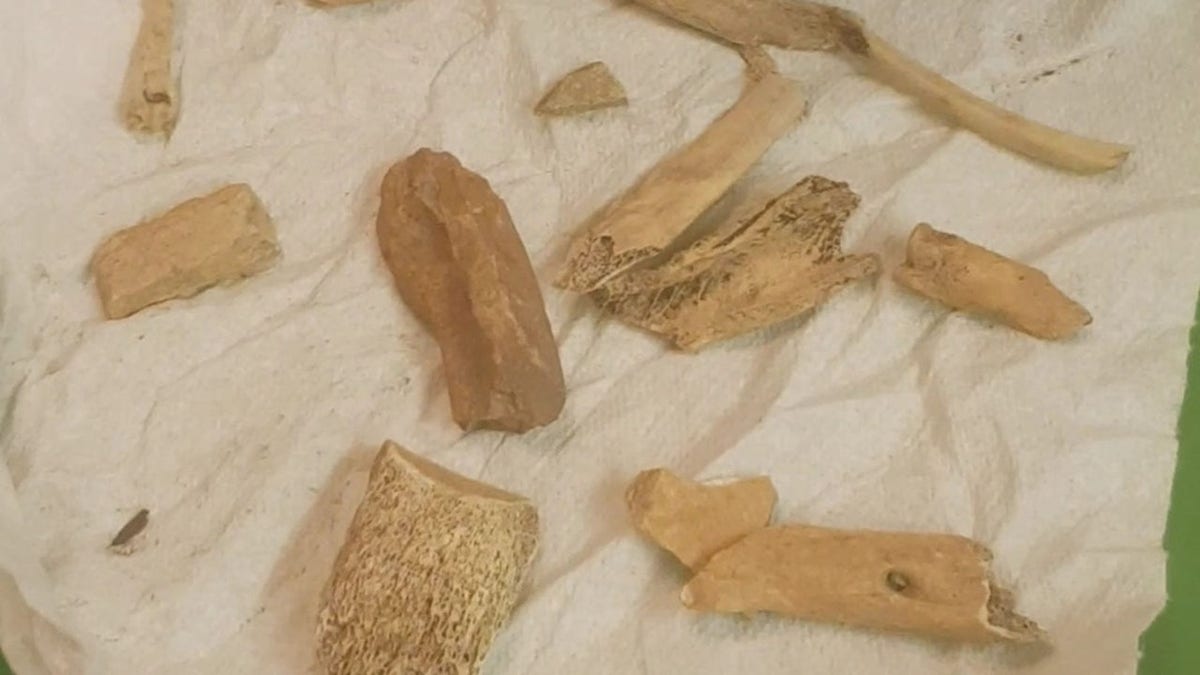 'Most haunted house in the world': Woman finds 'HUMAN BONES', daggers and mummified cat in 1,000-year-old property