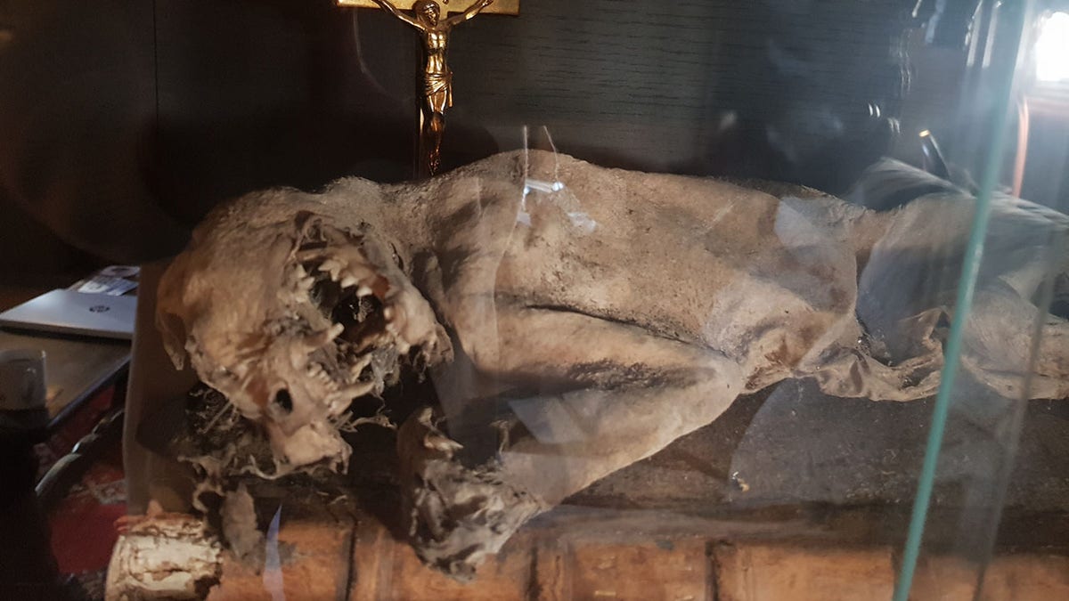 'Most haunted house in the world': Woman finds 'HUMAN BONES', daggers and mummified cat in 1,000-year-old property