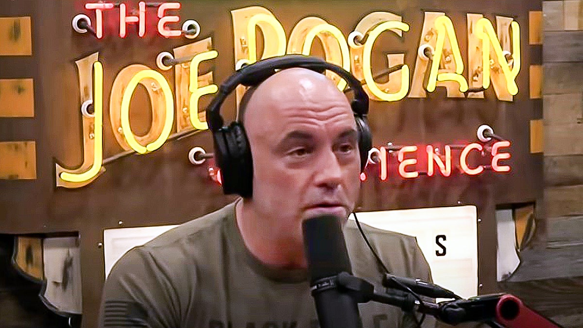 Joe Rogan experience podcast