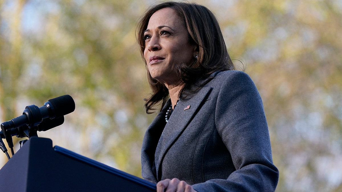 Vice President Kamala Harris speaks before President Joe Biden in support of changing the Senate filibuster rules that have stalled voting rights legislation, at Atlanta University Center Consortium, on the grounds of Morehouse College and Clark Atlanta University, Tuesday, Jan. 11, 2022, in Atlanta. (AP Photo/Patrick Semansky)