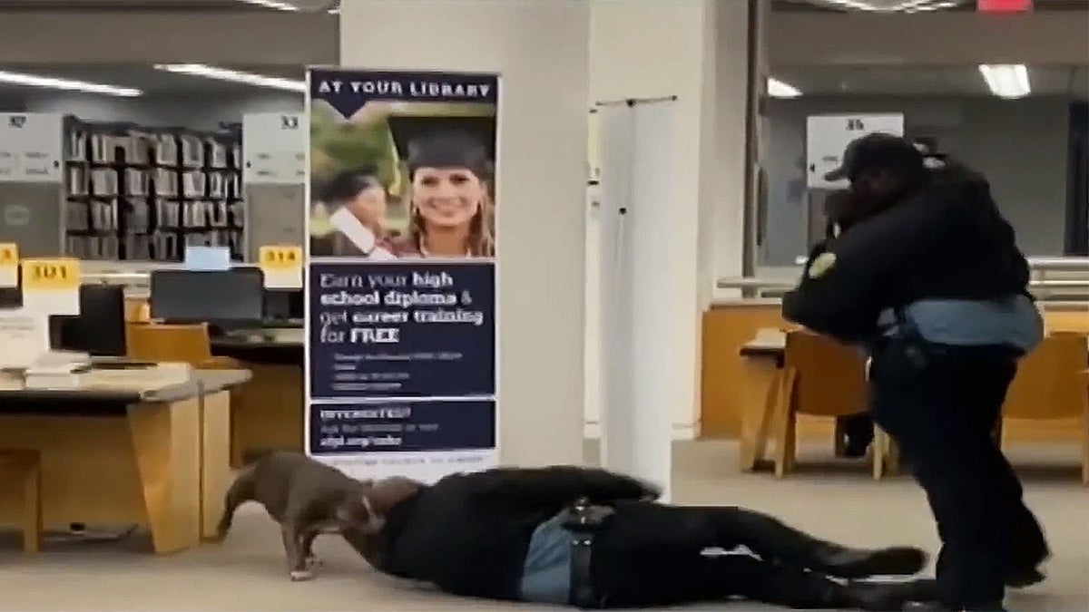 Security guard attacked by dog at San Francisco library