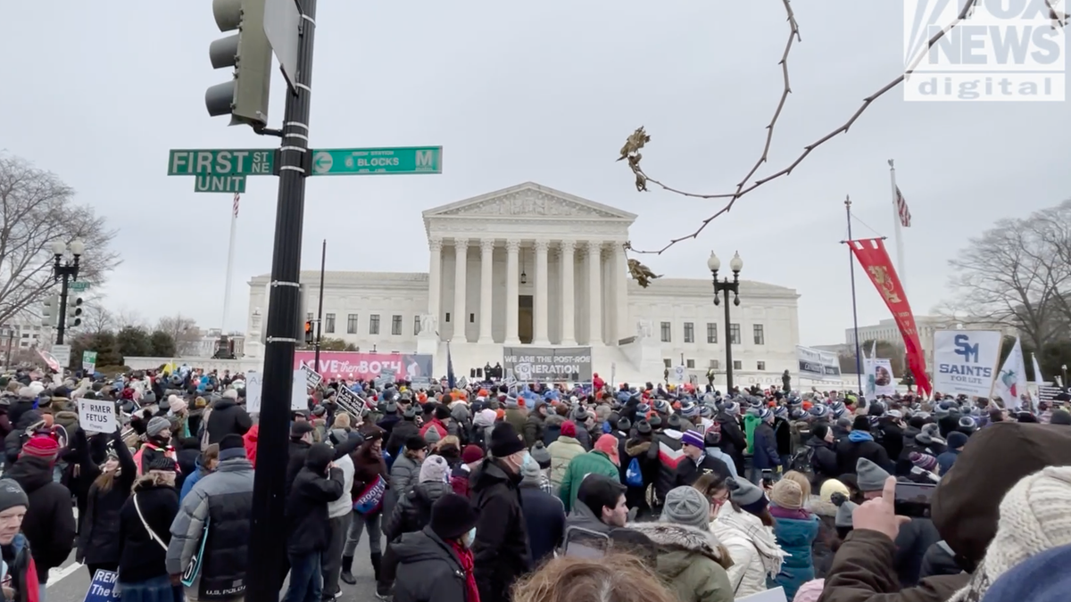 Activists gather outside the Supreme Court during the 49th annual March for Life.