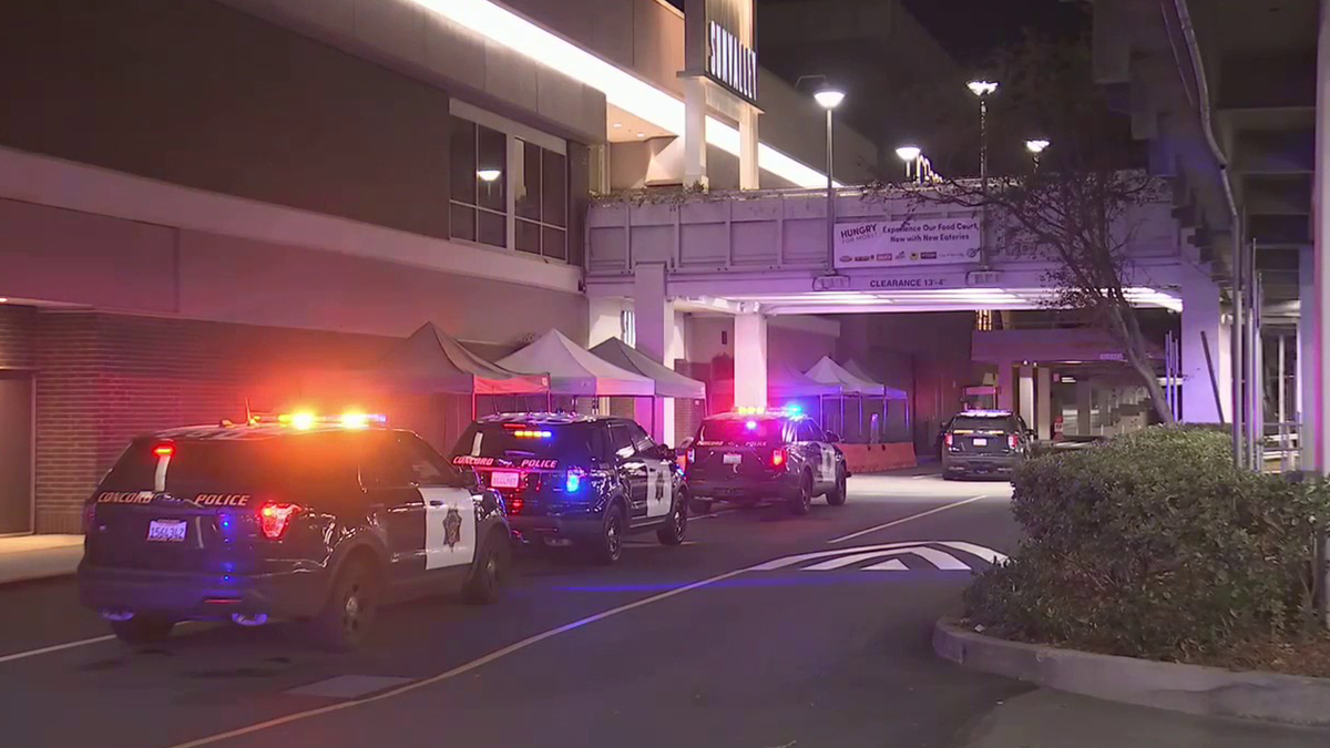 A customer at a Northern California mall was wounded in a shooting on New Year’s Eve after jumping into action to help a robbery victim, authorities said Saturday.