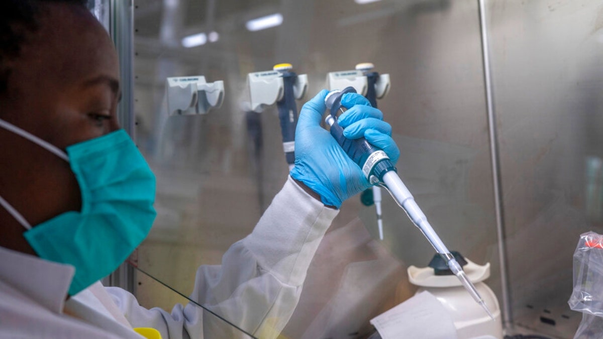 Puseletso Lesofi prepares to sequence COVID-19 omicron samples at the Ndlovu Research Center in Elandsdoorn, South Africa Wednesday Dec. 8, 2021.