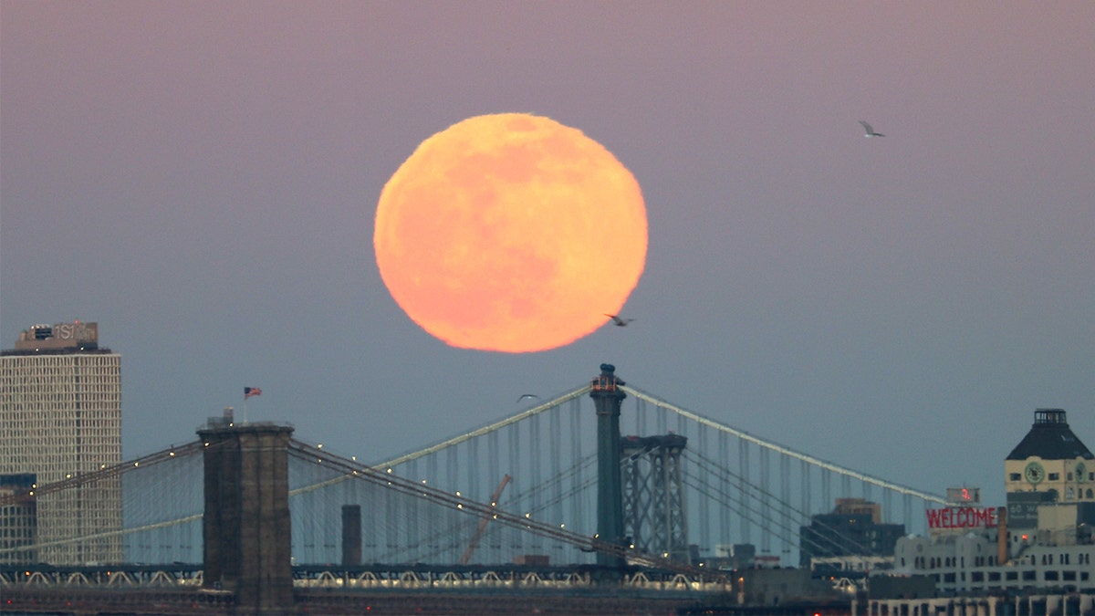 full wolf moon behind Brooklyn Bridge