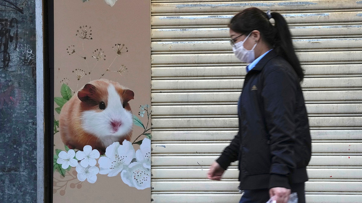 A pet shop is closed after some pet hamsters were tested positive for the coronavirus, in Hong Kong, Tuesday, Jan. 18, 2022. 
