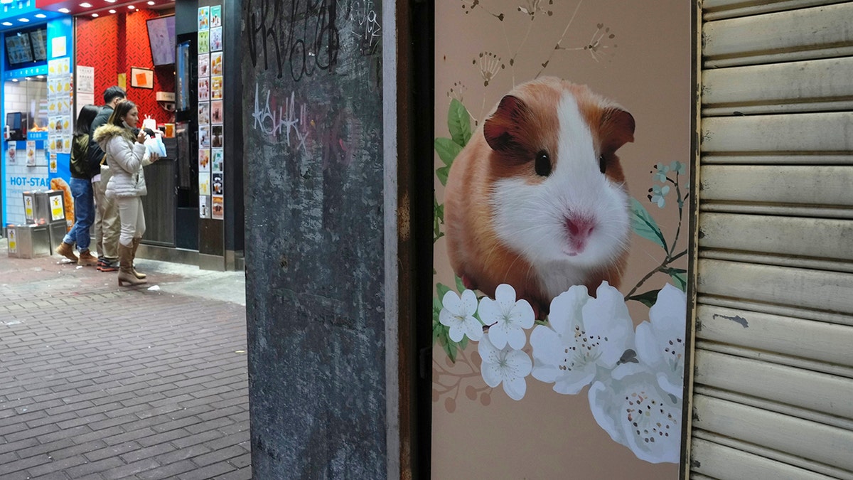 A pet shop is closed after some hamsters tested positive for the coronavirus, in Hong Kong, Tuesday, Jan. 18, 2022. 