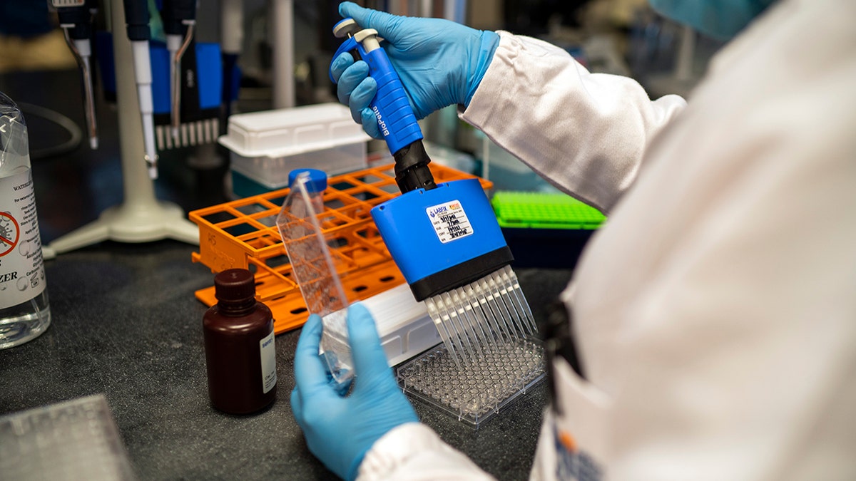 Scientists at the Africa Health Research Institute in Durban, South Africa, work on the omicron variant of the COVID-19 virus Wednesday Dec. 15, 2021.