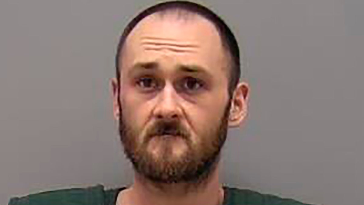 Benjamin H. Reed is charged with first degree murder and aggravated battery with a deadly weapon in the stabbing death of DCFS child-welfare worker Diedre Silas, 36, on Tuesday. (Sangamon County Sheriff's Office via AP)