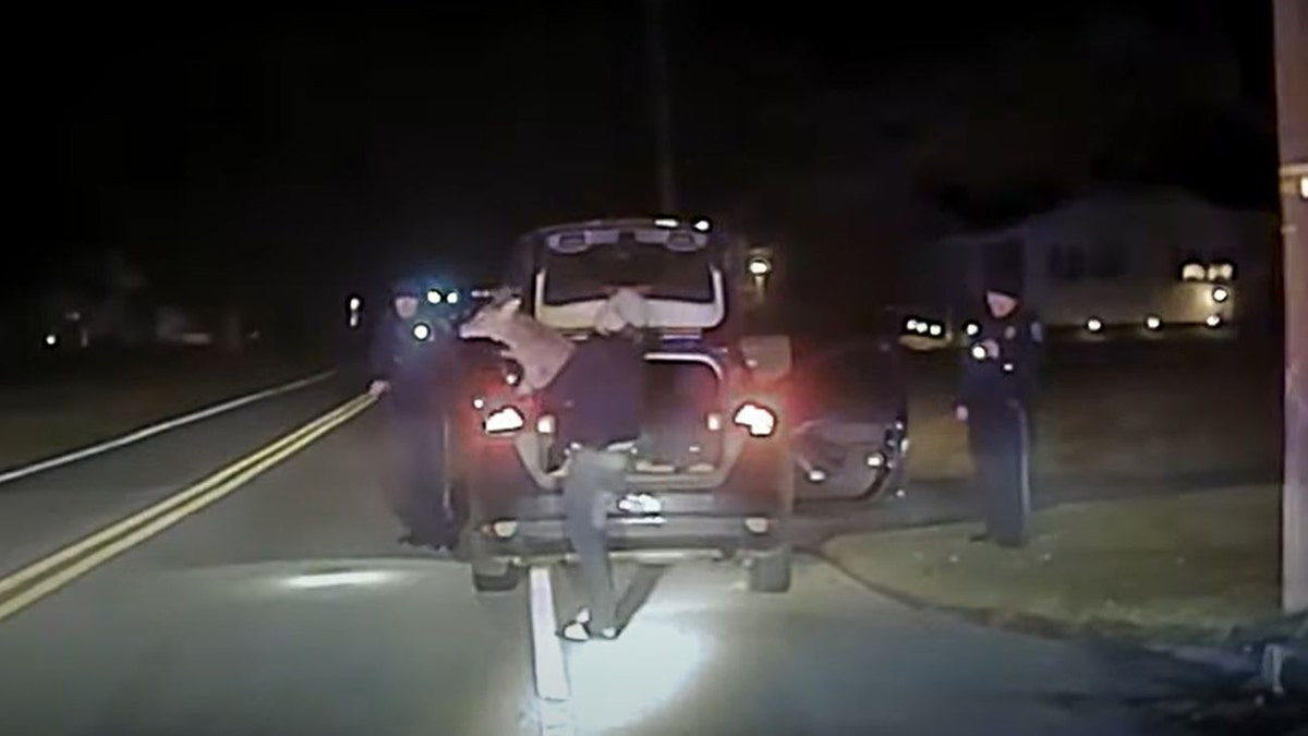 The driver said she hit the deer and they placed it in the car not realizing it was still alive.