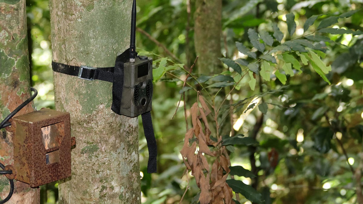 Old and New Camera trap for capturing wild animals.