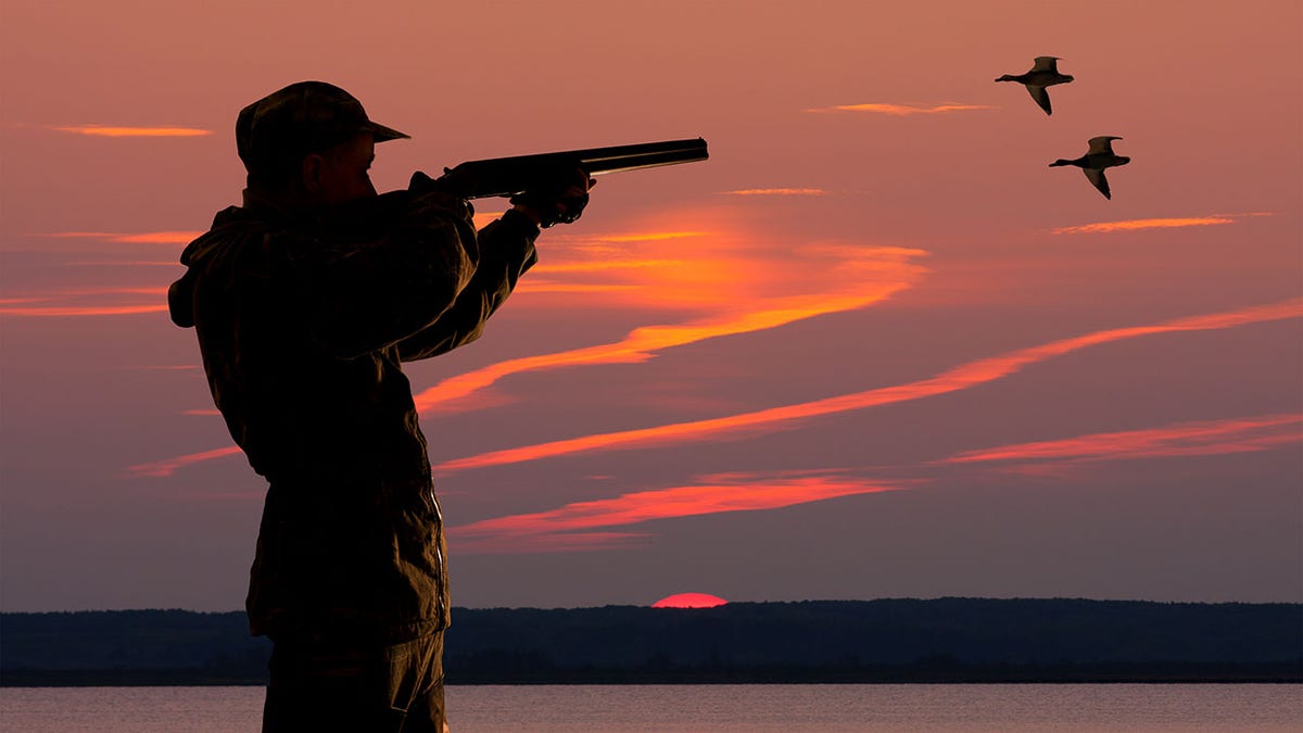 duck hunter at sunset background