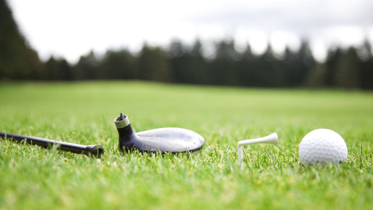 A group of Australian golfers had their game interrupted by a grabby coconut crab, and it cost one man a golf club.