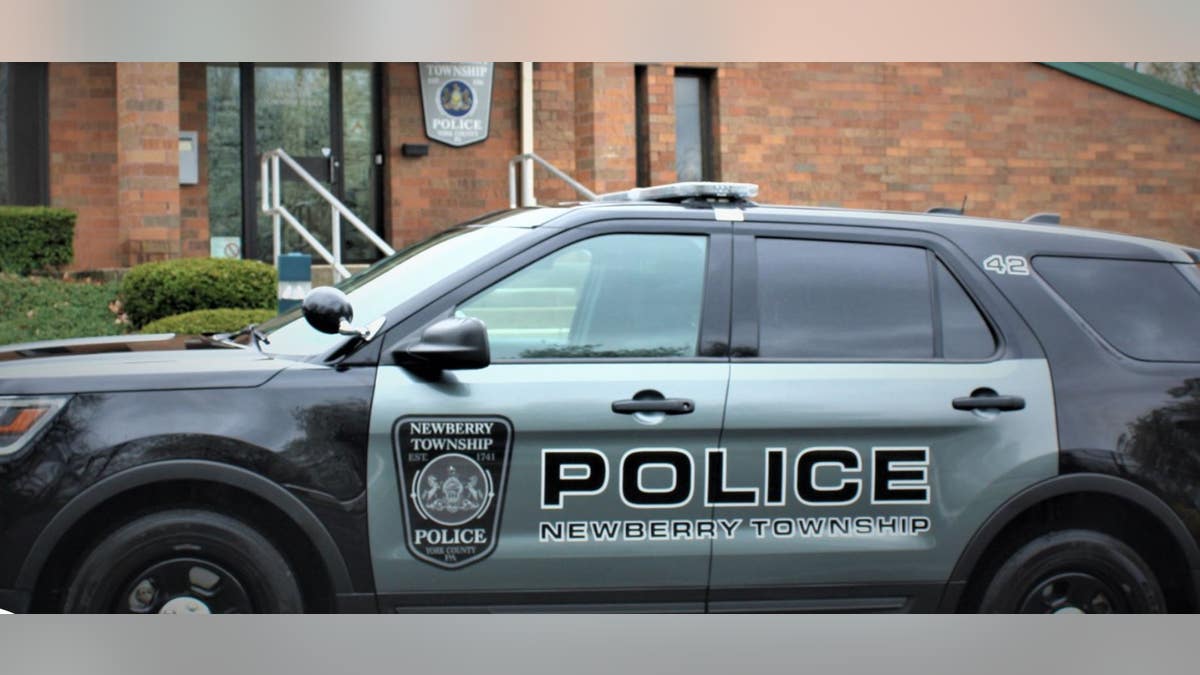 Newberry Township police officers arrested the driver on suspicion of DUI.