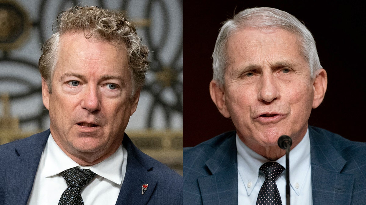 Rand Paul Anthony Fauci clash