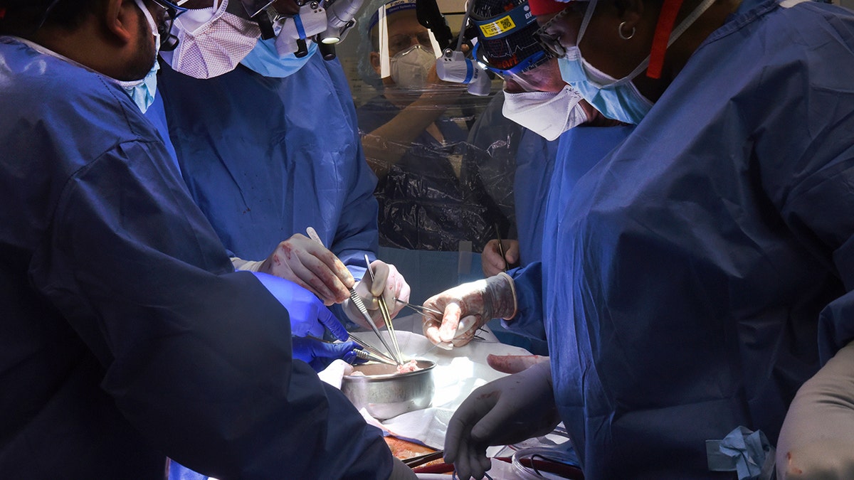 Members of the surgical team perform the transplant of a pig heart into patient David Bennett in Baltimore on Friday, Jan. 7, 2022.