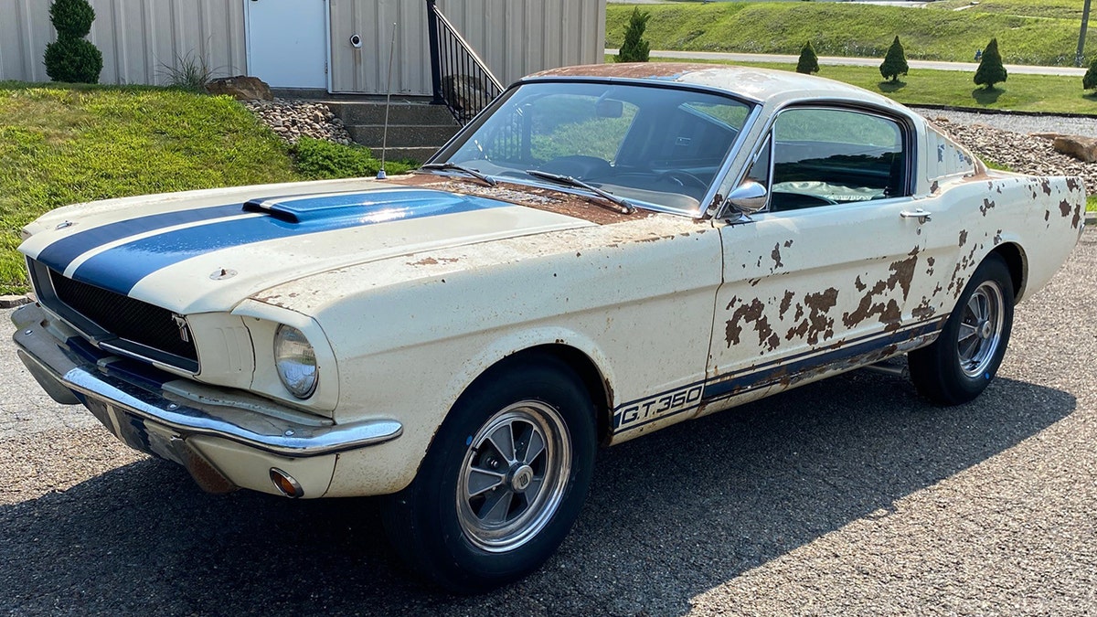 Matt Taylor brought the 1965 Ford Mustang Shelby GT350 back to driving condition 