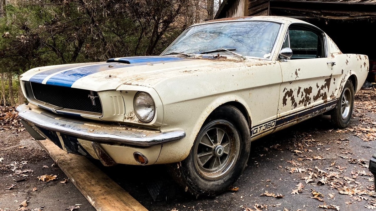 1965 Ford Mustang Shelby GT350 found in Georgia