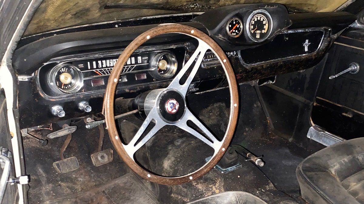 1965 Ford Mustang Shelby GT350 interior