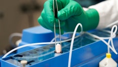 COVID-19 pill rollout stymied amidst omicron wave