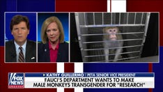 Fauci's NIH funded cruel research on monkeys that eighth-grader could determine was bogus: PETA VP