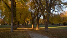 Colorado State University has 17 different resources to help students 'affected' by 'free speech'