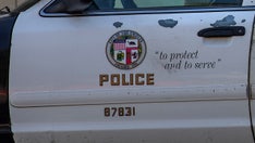 LAPD officers pull pilot from plane seconds before train crash in dramatic video