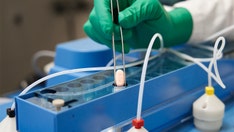 Biden administration to double purchase of Pfizer's COVID antiviral pill to 20M treatment courses