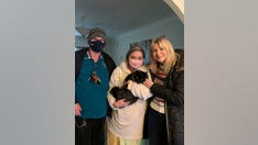 Lost cat lived at rest stop near busy highway for seven months