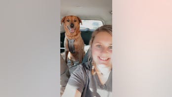 Pet dog missing for 3 years found 1,200 miles away in Indiana, reunites with her Texas-based family