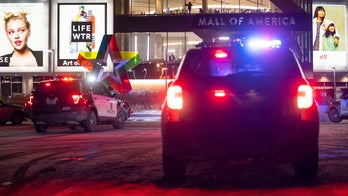 US mall violence: Grieving mom of man killed, public safety experts weigh in amid spike in shootings