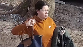 NYPD searching for woman who shouted antisemitic comments, spat on 8-year-old