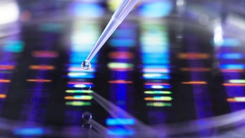 Genealogy database DNA solves decades old violent rape cases in Washington state